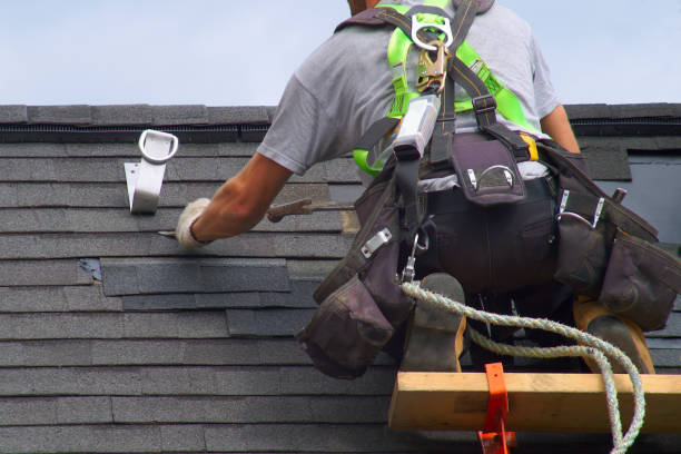 Best Gutter Installation and Roofing  in Harrison, MI