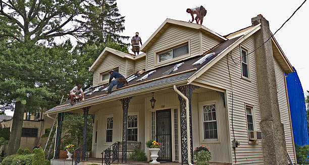 Best Roof Restoration Services  in Harrison, MI
