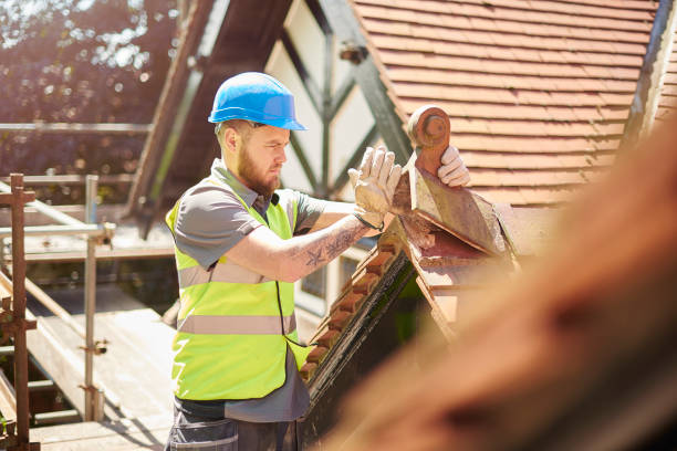 Best Metal Roofing Contractor  in Harrison, MI